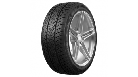 215/60R17 100V XL WinterX TW401 TL M+S 3PMSF