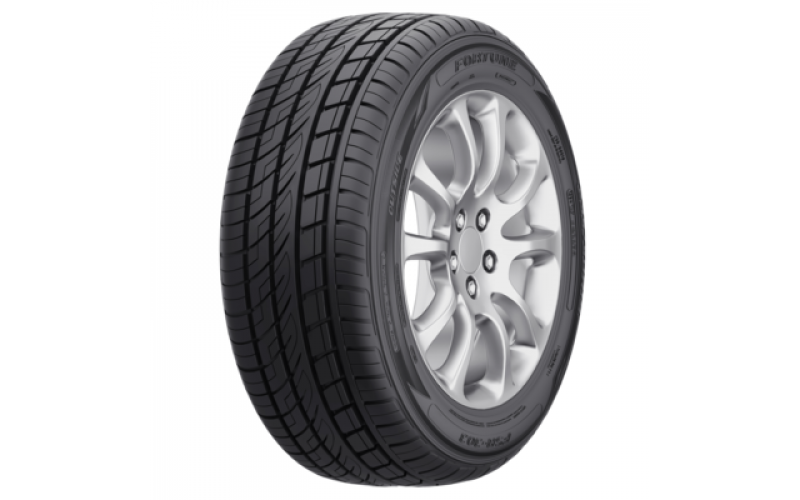 255/50R19 107V XL FSR-303 TL