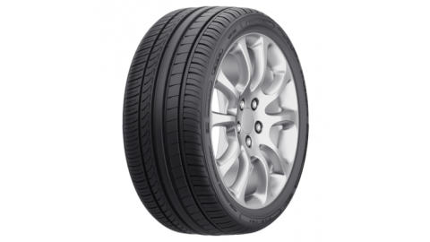 295/35ZR21 107Y XL FSR-701 TL