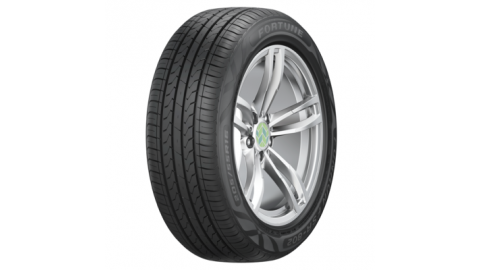 225/55R16 95V FSR-802 TL